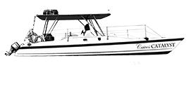 Catalyst Turks & Caicos Boat and Catamaran Charters | Caicos Boat Rentals
